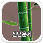 신년운세